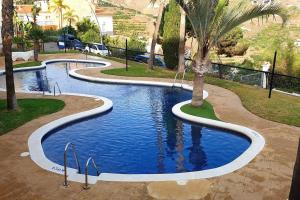阿尔姆尼卡Casa de la Suerte的棕榈树公园内的游泳池