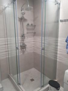 Nizhnyaya AlekseyevkaLucky home的浴室里设有玻璃门淋浴