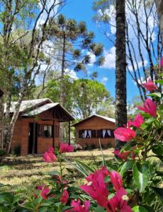 圣弗朗西斯科-迪保拉Cabanas dos Pinheiros的树林中的一个小屋,有粉红色的花
