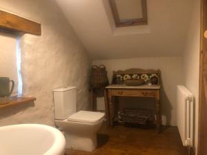 罗斯克里Hopesgate Cottage - Roscrea的浴室配有白色卫生间和盥洗盆。