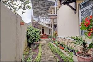 伦邦Adinda Homestay Lembang的种有盆栽植物的庭院和一座建筑