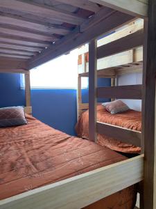 瓦尔迪维亚Casa de la Ribera Pelantaro的卧室设有两张双层床,拥有蓝色的墙壁