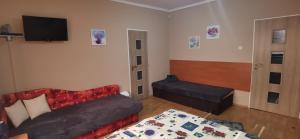 兹蒂尔Vilka Stefi的客厅配有沙发和1张床