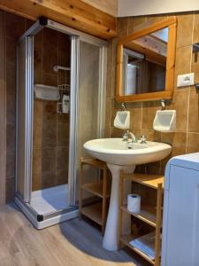 博萨迪法萨Chalet Relax的一间带水槽和淋浴的浴室