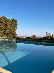 Vale de PrazeresQuinta da Porta - Solar de Vale de Prazeres的一个蓝色的海水和树木背景的游泳池