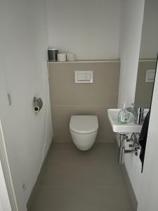 维也纳新城Luxusappartement mit Garage im Zentrum的一间带卫生间和水槽的小浴室