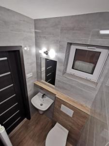 Strečno普里瓦西姆巴乡村民宿的一间带水槽、卫生间和镜子的浴室
