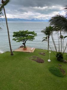 卡拉瓜塔图巴Apartamento Pé na Areia的草丛中有一棵树,享有海洋美景