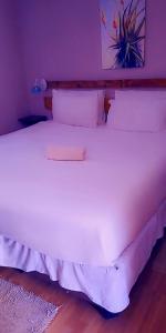 卡萨内Chiloto Guest House的紫色墙壁的房间里一张大白色的床