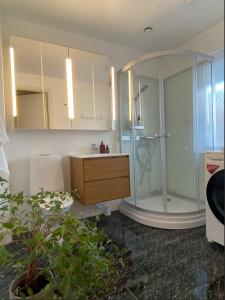哥德堡Luxurious villa with free parking的带淋浴、水槽和木柜的浴室