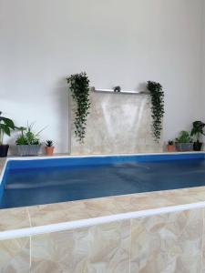 瓜拉丁加奴PRIVATE POOL GF Holiday Homes 2的墙上挂着盆栽植物的蓝色游泳池