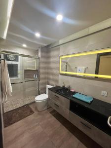 伊斯兰堡Elysium Service Apartment 1203的一间带水槽、卫生间和淋浴的浴室