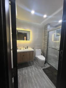 伊斯兰堡Elysium Service Apartment 1203的浴室配有卫生间、盥洗盆和淋浴。