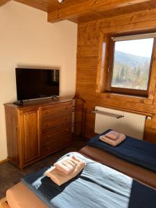 上贝奇瓦Chata na přehradě s vlastním wellness的一间卧室配有一张床和一台平面电视