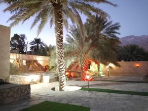 阿尔哈姆拉The Wadi Inn的夜晚在院子里的一对棕榈树