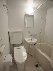 白川村WAY SHIRAKAWAGO - Private, Free Parking and Newly Opened 2022 WAY SHIRAKAWAGO的白色的浴室设有卫生间和水槽。