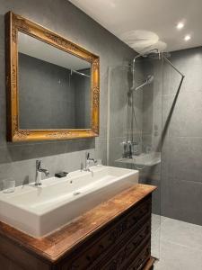 博兰Les Confidences de Messire Sanglier, stylished guest houses的一间带水槽、镜子和淋浴的浴室
