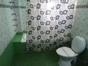 瓜廖尔格蕾丝酒店 的一间带卫生间和淋浴帘的浴室