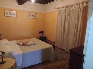 Villa CollemandinaAgriturismo Paneolio的一间卧室设有两张床和窗户。