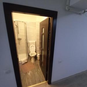锡纳亚Apartament Aosta Central Sinaia的一间带卫生间和步入式淋浴间的浴室