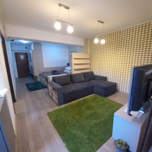 锡纳亚Apartament Aosta Central Sinaia的带沙发和电视的客厅