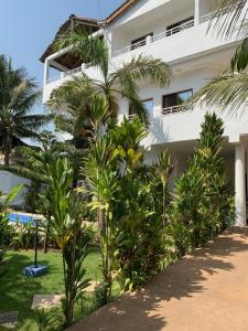 洛美Villa Luxury Baguida的一座棕榈树建筑