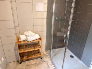 诺夫梅斯托纳马瑞夫Apartmány na mlýně的带淋浴的浴室和带毛巾架的浴室