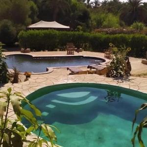锡瓦Mountain Camp Ali Khaled的庭院内的大型游泳池,设有庭院