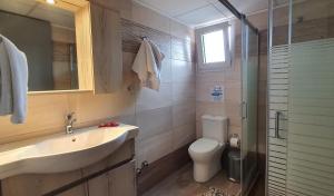 库基尼坎尼奥Evina Rooms & Suites的一间带水槽、卫生间和淋浴的浴室