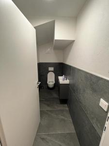 瓦格赖恩Appartment Hoamatgfüh的一间带卫生间和水槽的小浴室