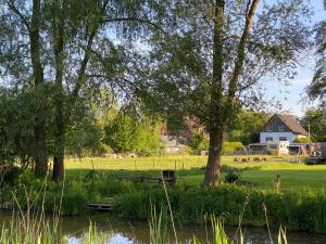 汉堡Elbinsel-Home ‘Alpakaliebe’的一个带池塘和树木的公园和一座房子