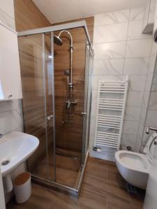 Apartman LeDa - Ski centar Ravna Planina Gornje Pale的一间浴室