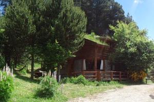 普埃洛湖Mirador del Valle的森林旁的木屋
