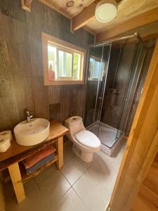 卡斯特鲁Tiny house los zorzales的浴室配有卫生间、盥洗盆和淋浴。