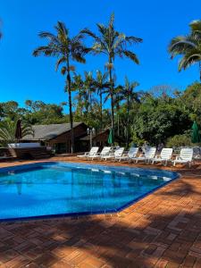 加斯帕Pousada Arraial do Ouro的一个带躺椅的游泳池,棕榈树
