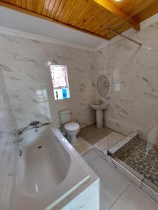 马塞卢Lion Rock View Guesthouse的带浴缸、卫生间和盥洗盆的浴室