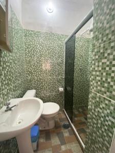 阿布拉奥Pousada Korui的浴室配有卫生间、盥洗盆和淋浴。