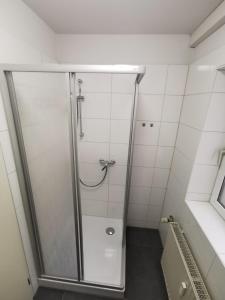 科隆Ferdimesse Apartments 2的浴室里设有玻璃门淋浴