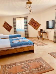 乌奇希萨尔Aysultan Stone House的一间卧室配有一张带蓝色床单的床和一台电视。