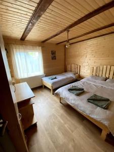 JieţCabană la poalele munților cu ciubăr的客房设有两张床和窗户。