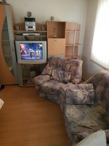 莱斯科瓦茨Apartmani Strahinic的带沙发和电视的客厅