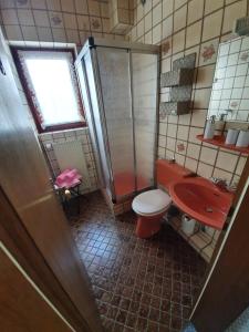 瓦尔肯里德Haus Drei Seen的带淋浴、卫生间和盥洗盆的浴室