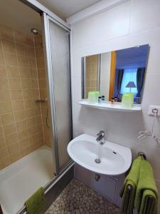 福尔巴赫Room in Guest room - Pension Forelle - double room no01的一间带水槽、淋浴和镜子的浴室