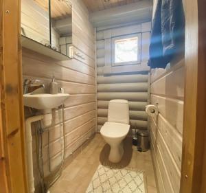 耶姆赛Latvahonka Cottage的一间带卫生间和水槽的小浴室