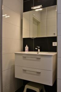东卡佩勒Woning zeldenrust 6的一间带水槽和镜子的浴室
