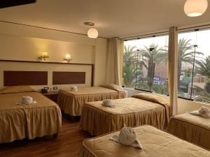 塔克纳HOTEL AVENIDA的酒店客房设有四张床和大窗户