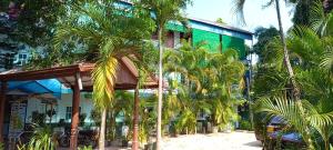 卡图纳耶克Shady transit hotel的一座棕榈树建筑