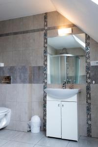CisiecRodzinny apartament FOLKER的一间带水槽和卫生间的浴室
