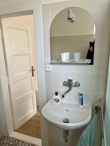 布拉格Apartmán Colette的浴室设有水槽,镜子里放着猫