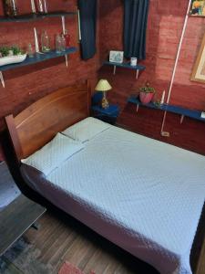科洛尼亚-德尔萨克拉门托La Estancia hostel的木墙客房的一张床位